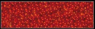 Ribbon Panel 2D Red Illuminated 230V Warm White LED 1.35M x 2M 
