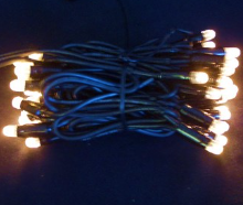 Low Voltage Light String 24 Volt Warm White LED on Black Cable 3M Outdoor Joinable