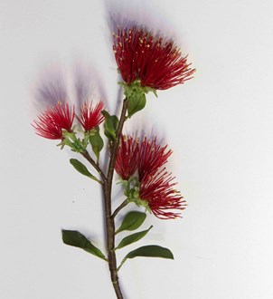 Pohutukawa Flower on Stem Red 300mm