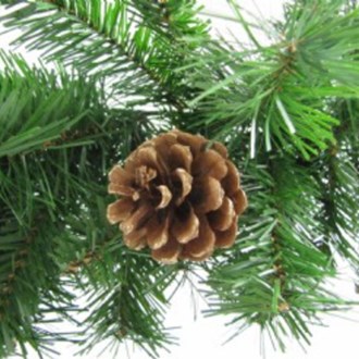 Garland Straight Green with Decorative Pine Cones 2.7M